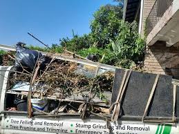 Shed Removal in Ridge Wood Heights, FL